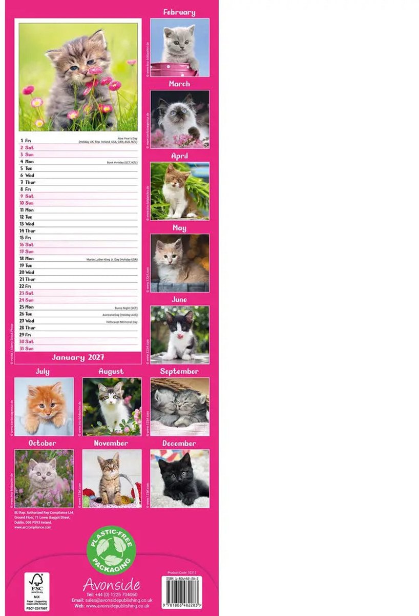 Avonside kittens kalender 2027 slimline