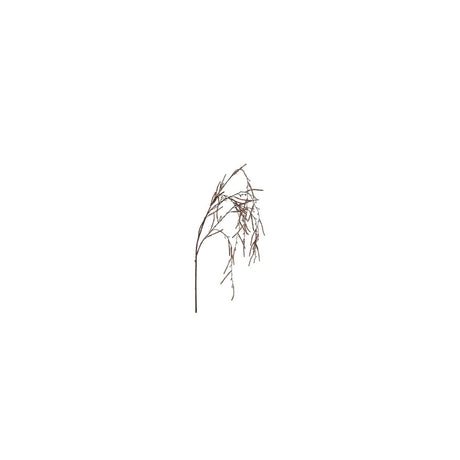 Countryfield kunsttak corylus bruin kunststof h32cm