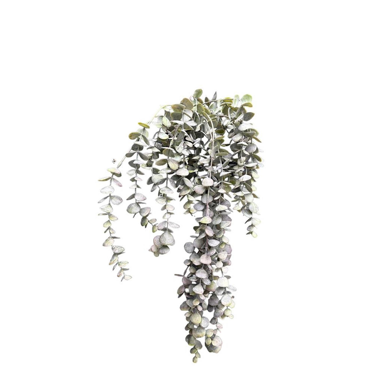 Roberts collection kunst hangplant eucalyptus poeder-bordeaux 95cm