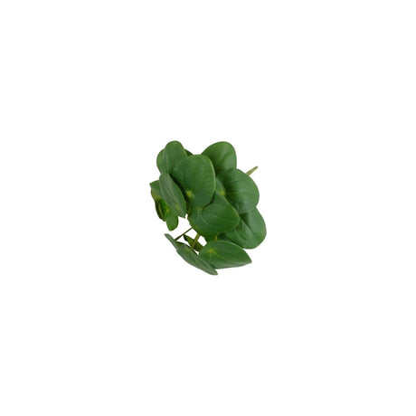 Countryfield kunstplant pilea 22x22xh25cm