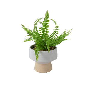 Decoris Kunstpflanze Farn im Topf Kunststoff Ø15,30 15,3x15,3x24cm grün