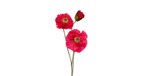 Papaver x3 l76cm cerise