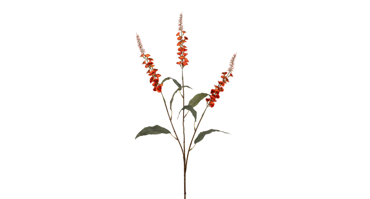 Veronica x3 l95cm oranje