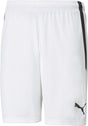Puma Teamliga Shorts Herren Sporthose - Weiß-Schwarz