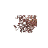 Country field countryfield kunstbloem steker exacum rood zijde ã˜12x31cm