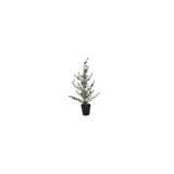 Country field countryfield kerstboom led cedrus groen kunststof 11x10x61cm 15led 3xaaa