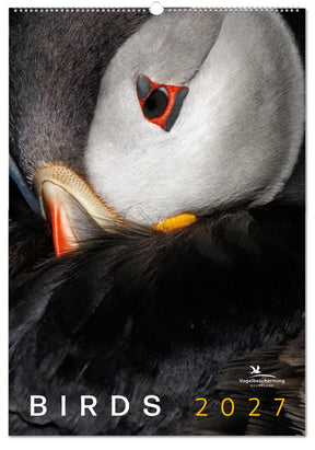 Bekking blitz vogelbescherming maandkalender 2027