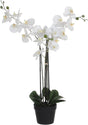 Mica decorations orchidee bloem kunstplant - wit - h75 x b50 cm