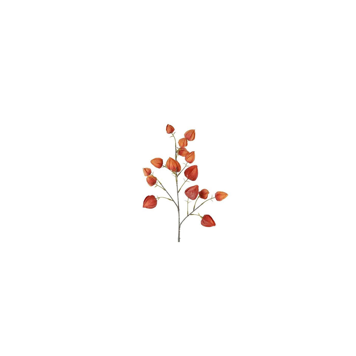 Countryfield kunstbloem physalis rood h82cm