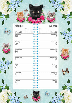 Plenty gifts cat weekomleg kalender 2027