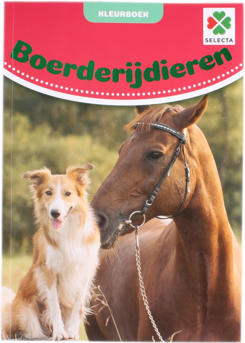 Selecta Tactic Malbuch Bauernhoftiere – 48 Seiten – Malbuch für Kinder – Bauernhof – ab 2 Jahren