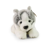 Plüschhusky 24 cm umweltfreundlich