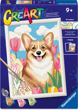 Ravensburger – creart: floral corgi – schilderen op nummer