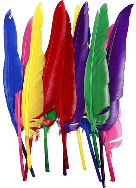 Kreativunternehmen https: www.cchobby.nl Federn-l-27-cm-verschiedene-Farben-12-teilig-1-Box