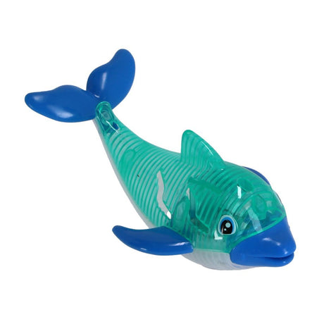 Delphin mit Licht tauchen