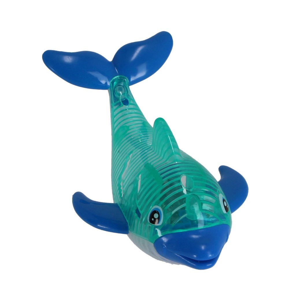 Delphin mit Licht tauchen