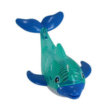 Delphin mit Licht tauchen