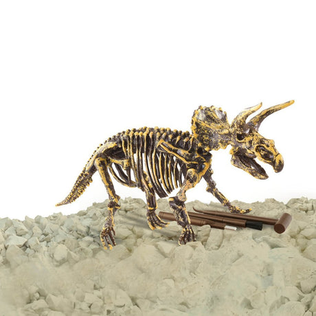 Dino-Basis | 3 Stück
