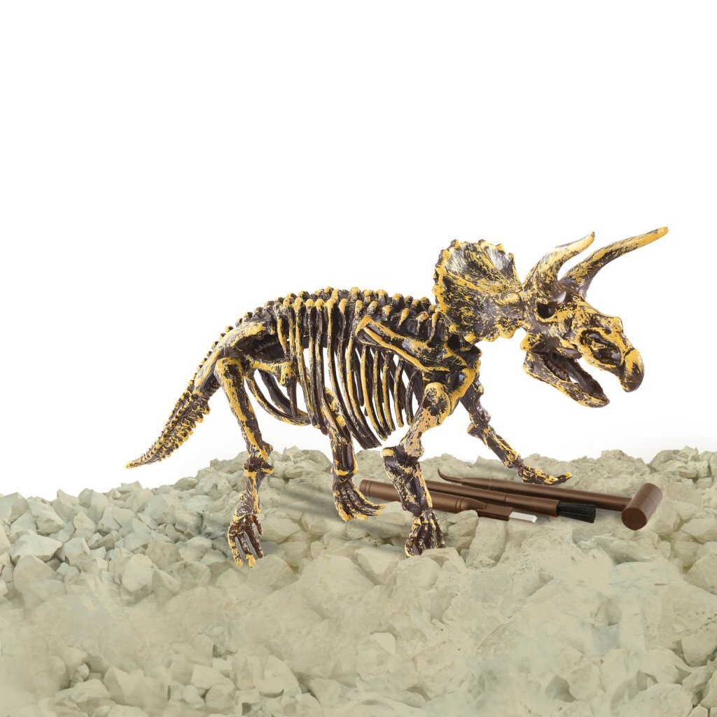 Dino-Basis Dinobase Dino-Schnitzerei Triceratops 3D-Set | 3 Stück