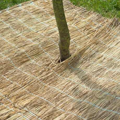 Naturwinterabdeckung Reis Stro 1x1,5 m 6030105