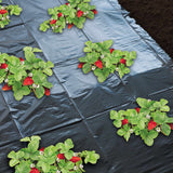 Nature Nature Native Folie für aw stern 1,4x20m 6030231