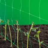 Nature Klimnet für Pflanzen Grün 1x10 M 6030429