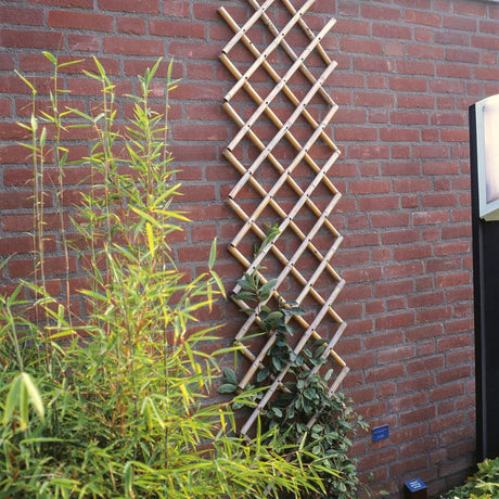 Nature Latwerk für Garten 100x200 cm Bambus 6040722
