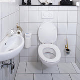 Hg Öko-Toilettenreiniger 500 ml