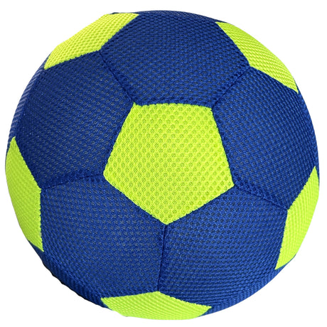 Sommerlicher aufblasbarer Ball mit Pumpe blaugrün