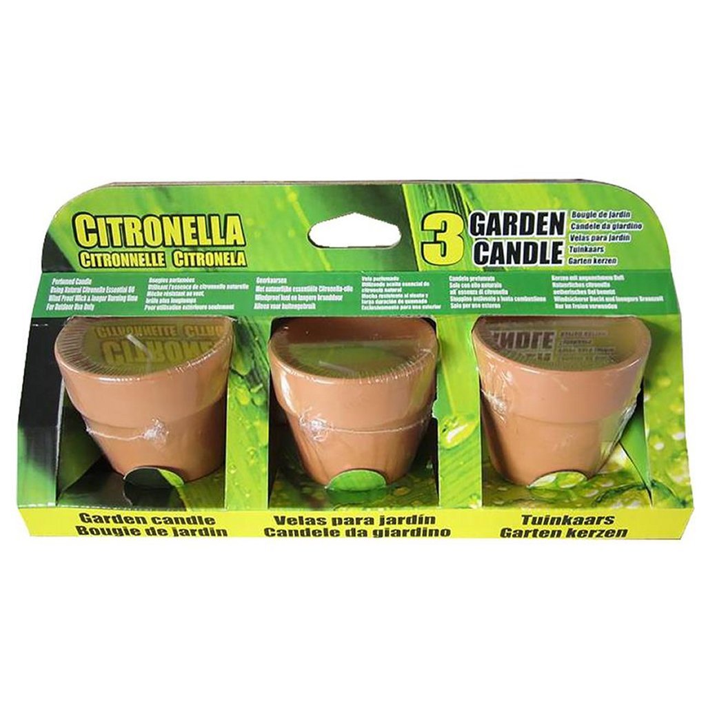 Basic Citronella-Kerzen im Terrakottaglas 6,5 cm 3 Stück