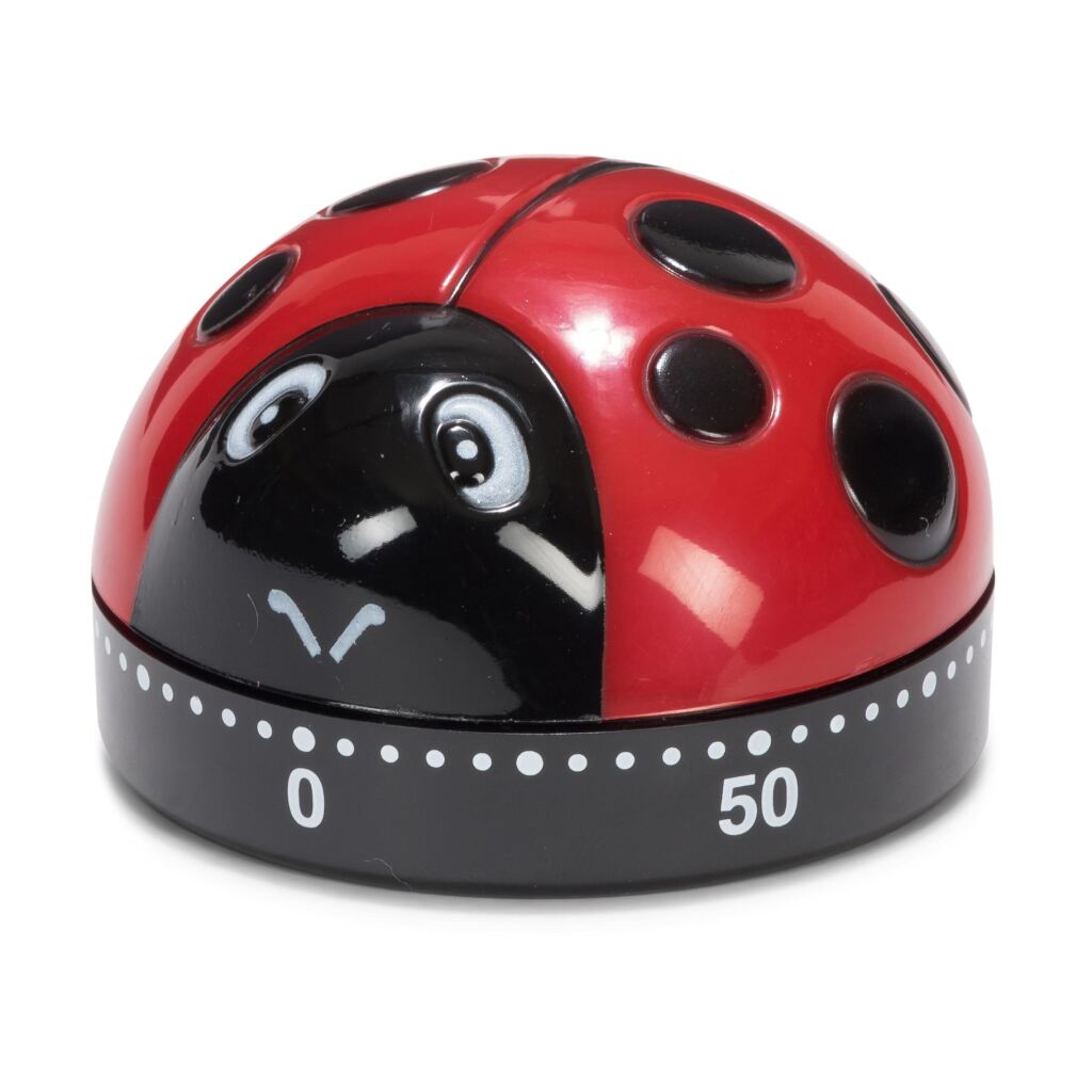 Patisse Küchentimer Marienkäfer 6 cm schwarz rot