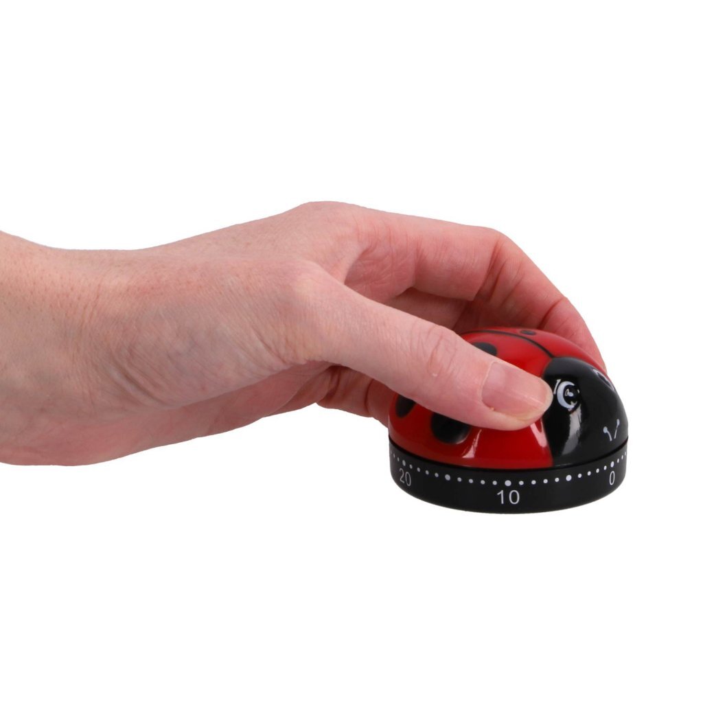Patisse Küchentimer Marienkäfer 6 cm schwarz rot