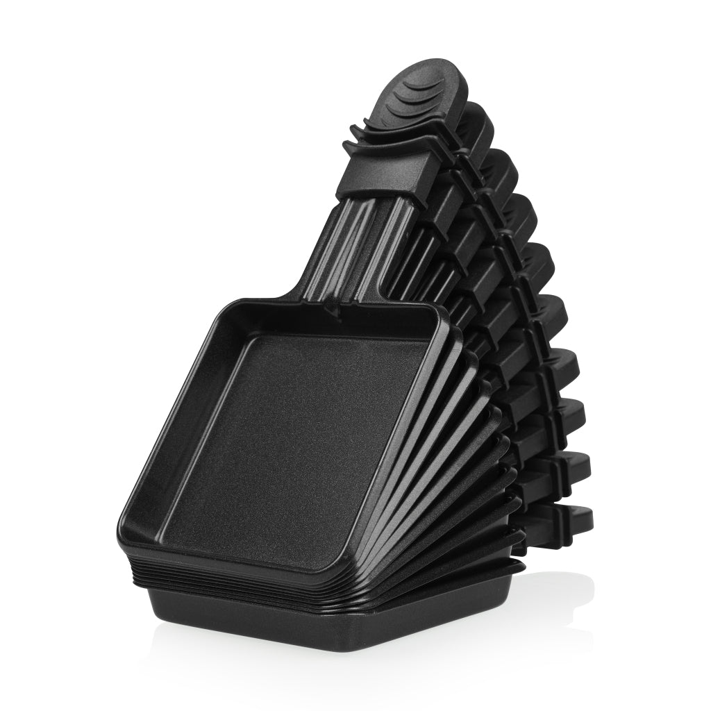 Prinzessin Raclette 10 Gourmet -Set