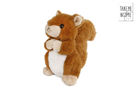 Nimm mich mit nach Hause, Eichhörnchen-Kuscheltier aus Plüsch, 15 cm
