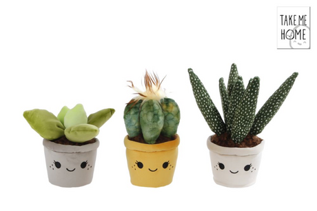 Take me home plant pluche 19-27cm assorti