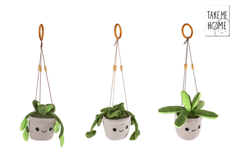 Take me home hang plant pluche l 24cm 3 assorti