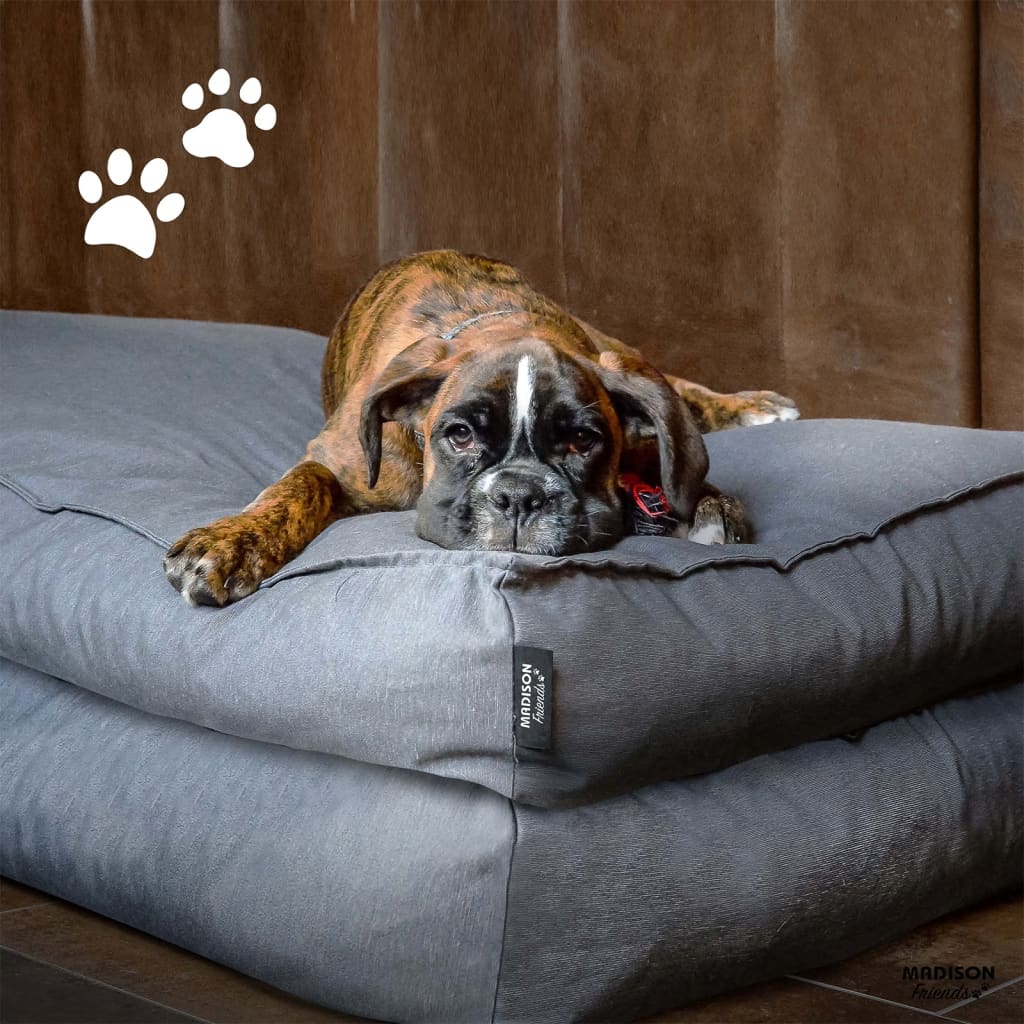 Madison Dog Kissen Panama 100x70x15 cm Grau
