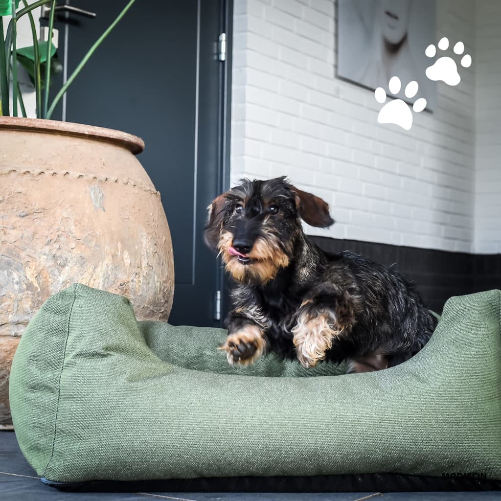 Madison Hundekissen für Außenmanchester 100x80x25 cm Taupe