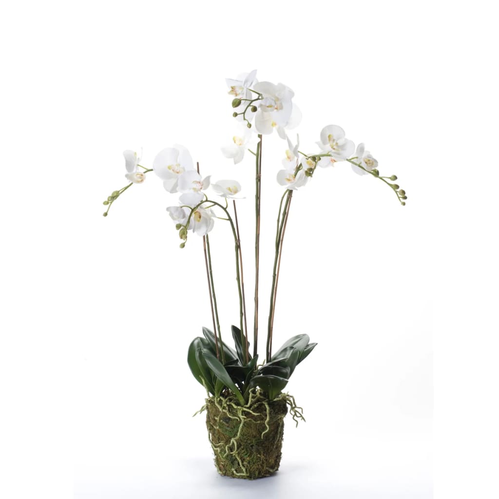Emerald Art Plant Orchidee mit Moosweiß 90 cm 20.35555555