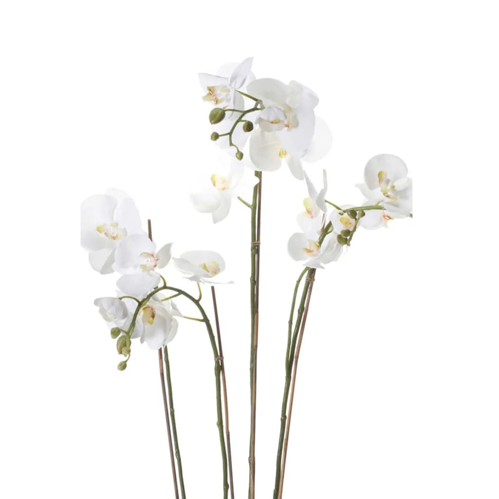 Emerald Art Plant Orchidee mit Moosweiß 90 cm 20.35555555