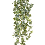 Emerald Art Plant Ivy Hanging Two -Tone Green 100 cm 11.960