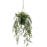 Smaragdkunstpflanze hängt im Topf Buxus 50 cm