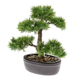 Emerald Art Plant Ceder Bonsai Green 32 cm 420001
