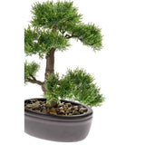 Emerald Art Plant Ceder Bonsai Green 32 cm 420001