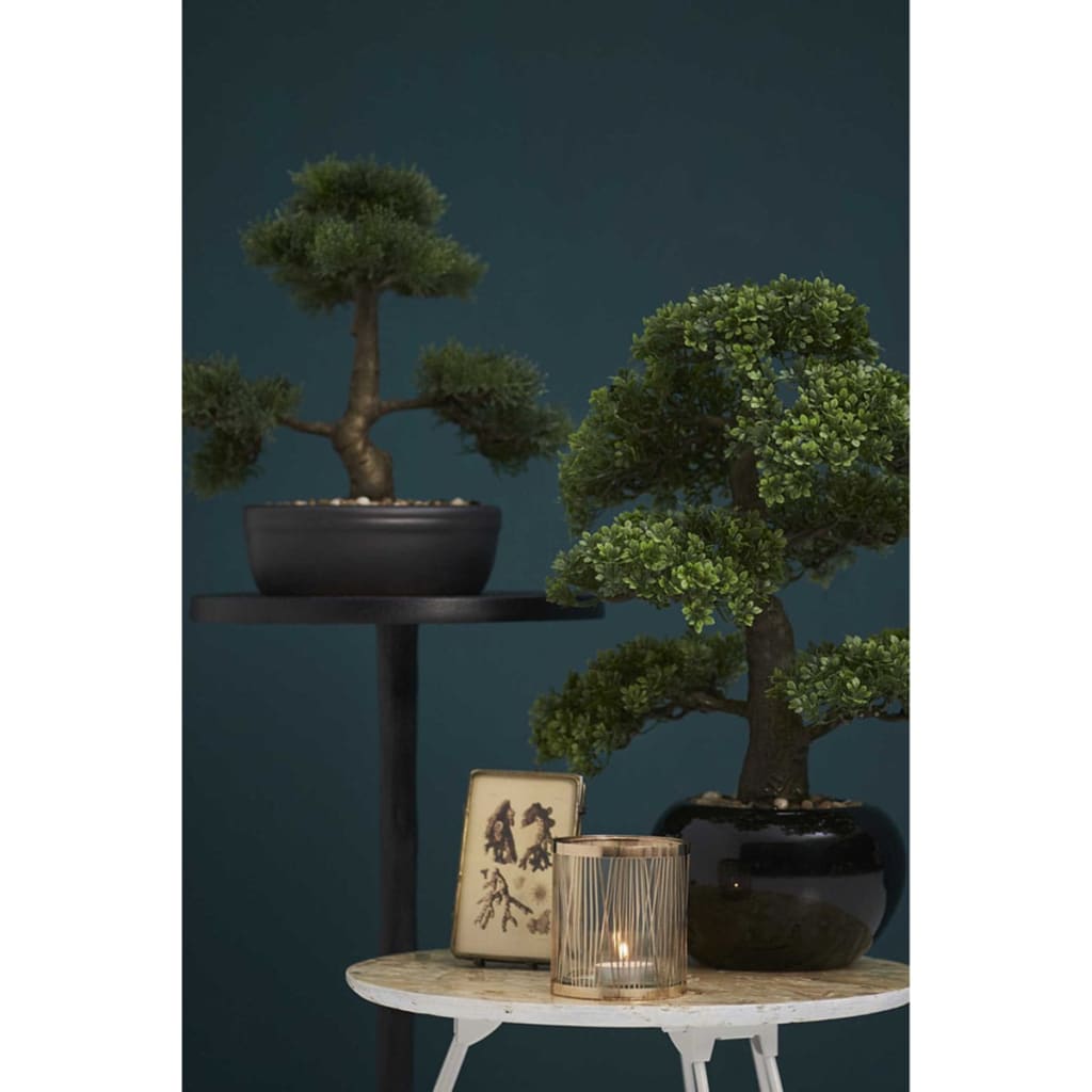 Emerald Art Plant Ceder Bonsai Green 32 cm 420001