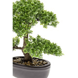 Smaragdkunstwerk Mini Bonsai Ficus Green 32 cm 420002