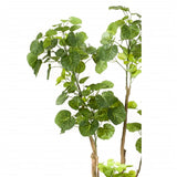 Emerald Kunstboom Aralia 135 cm 420292