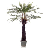 Emerald Emerald Art Plant im Topf -Boom -Farn 125 cm