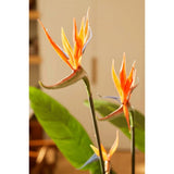 Smaragdkunstpflanze mit Topf und Blumen Strelitzia 120 cm