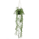 Smaragdkunstpflanze hängt in Topf Senecio 70 cm